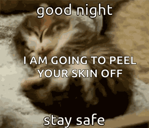 Animals With Captions Good Night Animal GIF