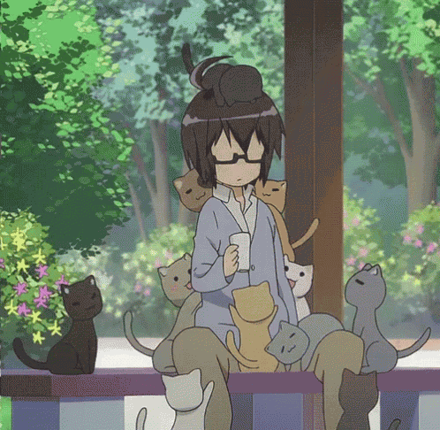 Anime Acchi Kocchi GIF