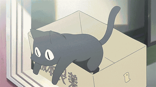 Anime Cat Cat Box GIF