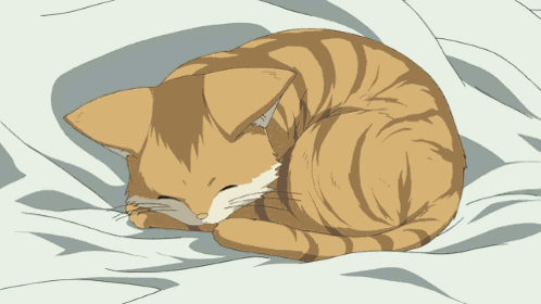 Anime Cat Sleep GIF