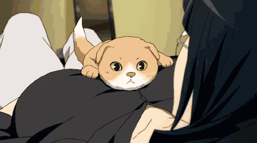 Anime Durarara GIF