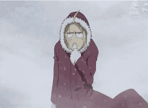 Anime Fma GIF