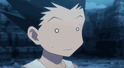 Anime Hxh GIF