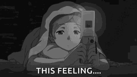 Anime Japanese Anime GIF