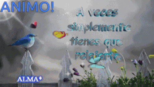 Animo Frase Confianza GIF