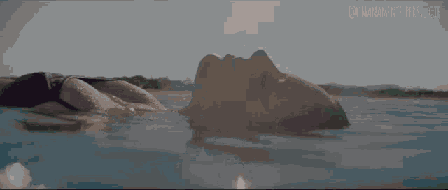 Annalisa Annalia GIF