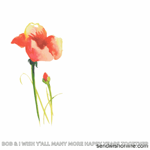 Anniversary Anniversary Wishes GIF