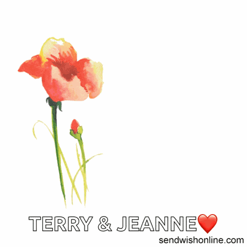 Anniversary Anniversary Wishes GIF