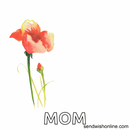 Anniversary Anniversary Wishes GIF