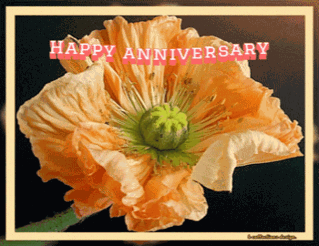 Anniversary Happy GIF
