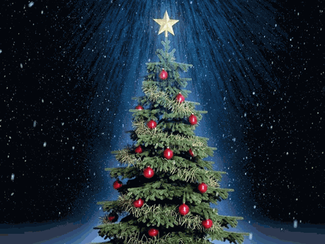 Anniversary Sunrise Meme