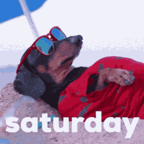Another Day GIF
