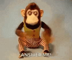 Answer Me Monkey GIF