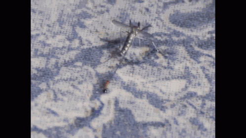 Ant Vs Mosquito Hostage GIF