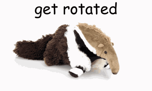 Anteater Plush GIF