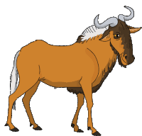 Antelope Black Wildebeest Sticker