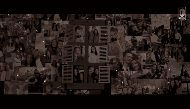 Antologirasa Harrisrisjad GIF