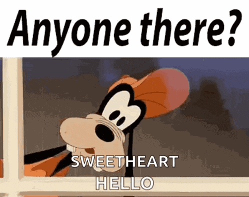 Anyone There Looking GIF