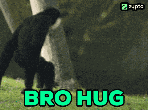 Ape Ape Hug GIF
