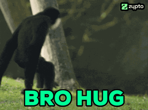 Ape Ape Hug GIF