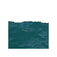 Apex Predator Attacked Sticker