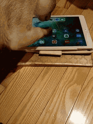 App Ipad GIF