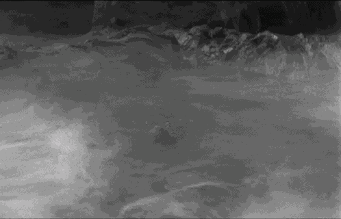 Appeared The Gill Man GIF