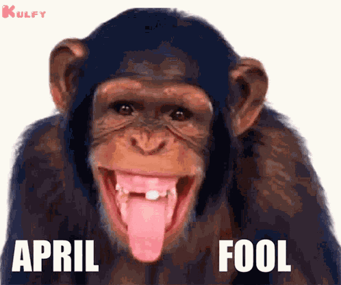 April Fools GIF