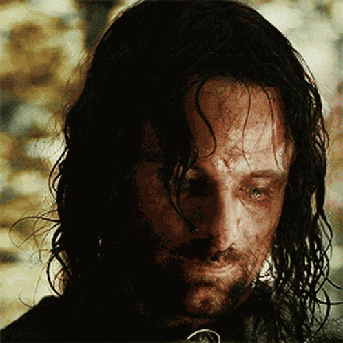 Aragorn Crying Aragorn GIF