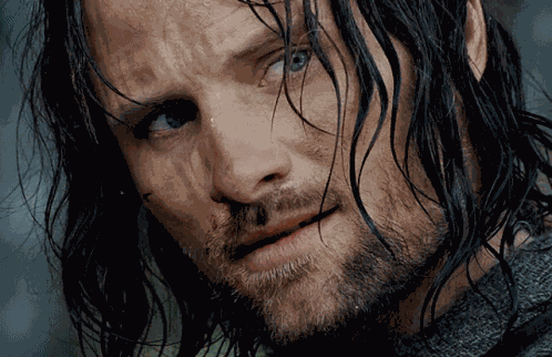 Aragorn GIF