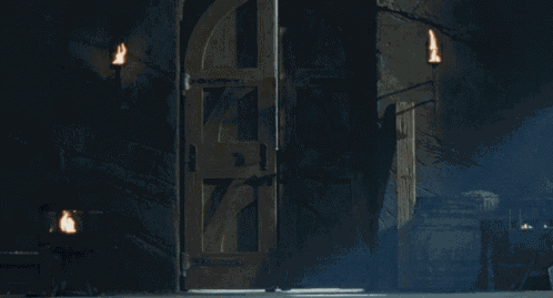 Aragorn GIF