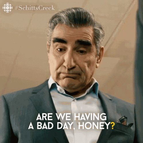 Are We Having A Bad Day Honey Johnny Rose GIF