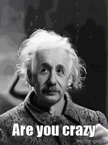 Are You Crazy Are You Sure GIF