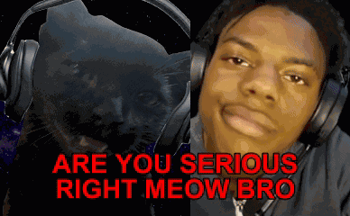 Are You Fr Rn Miles The Awesome Cat GIF