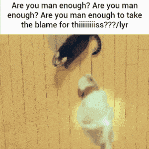 Are You Man Enough Cat Jump Meme GIF