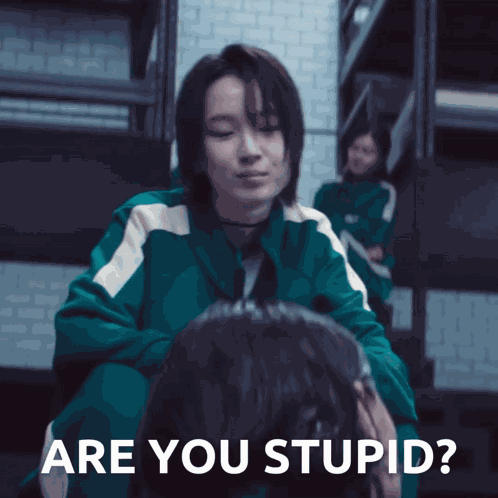 Are You Stupid Se Mi GIF