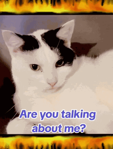Are You Talking About Me Rooby GIF