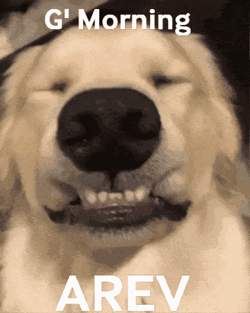 Arev Arevera GIF