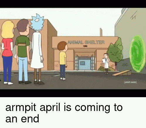 Armpit April Rick And Morty GIF