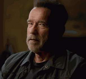 Arnold Schwarzenegger Do It GIF