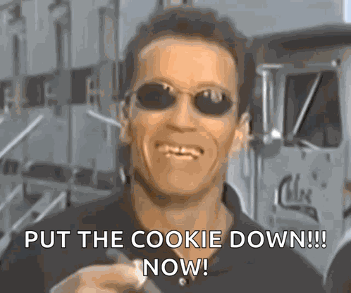 Arnold Schwarzenegger Like You GIF