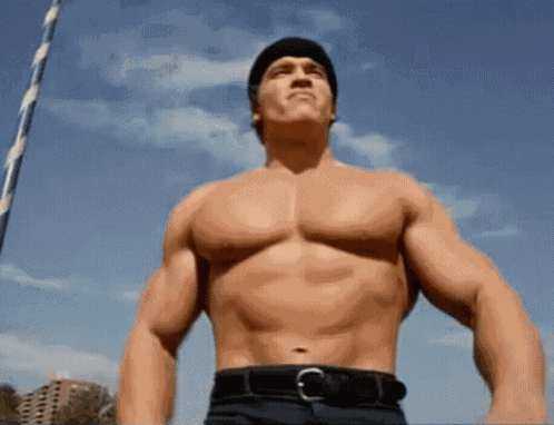 Arnold Schwarzenegger Muscles GIF
