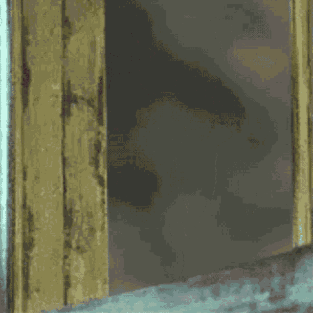 Arnold Schwarzenegger Peeking GIF