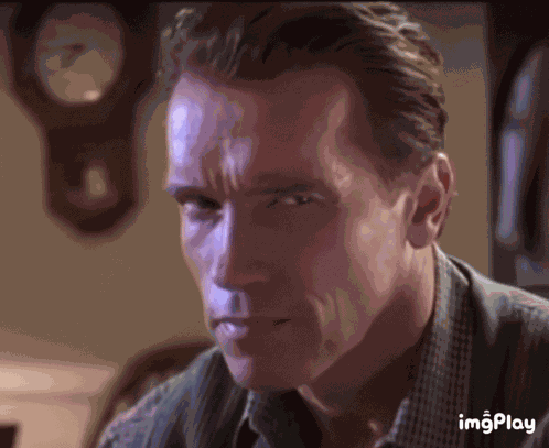 Arnold Schwarzenegger Straight Face GIF