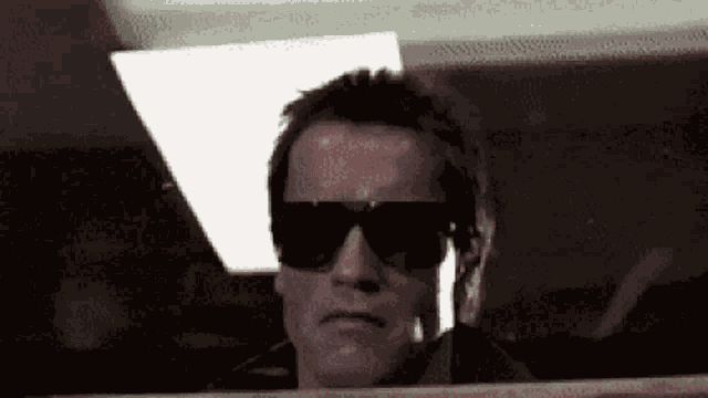 Arnold Schwarzenegger Terminator GIF