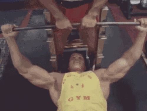 Arnold Schwarzenegger GIF