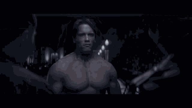 Arnold Terminator GIF