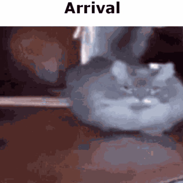 Arrival GIF