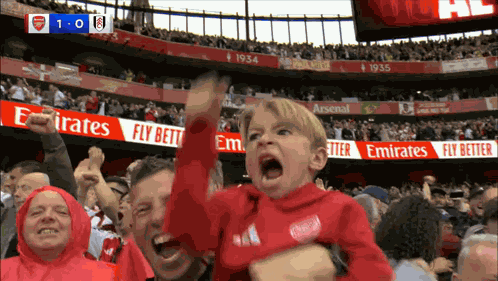 Arsenal Arsenal Fan GIF