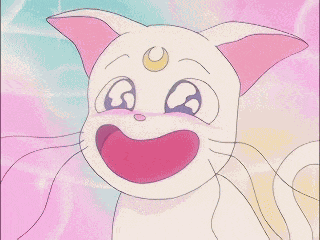Artemis Sailor Moon GIF